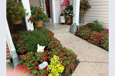 9781 Tesson Creek Estates Drive, Affton, MO 63123 - Photo 28