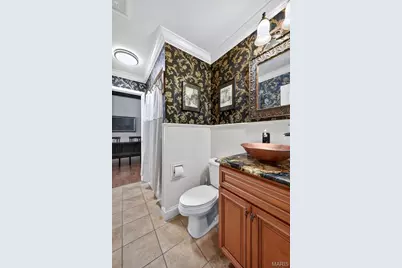 12 Prairie Lake Court, Wentzville, MO 63385 - Photo 48