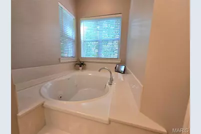 364 Whispering Forest Lane, Pacific, MO 63069 - Photo 14