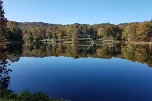 20401 Mill Creek Rd, Saint Genevieve, MO 63670 - Photo 2