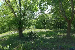 324 Sirius Rd, De Soto, MO 63020 - Photo 18