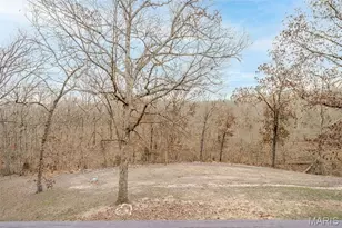 480 Lone Pine Ln, Saint Clair, MO 63077 - Photo 14