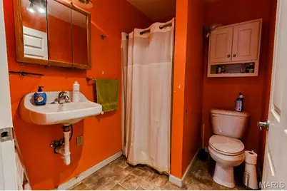 2187 Silver Springs Drive, Bonne Terre, MO 63628 - Photo 10