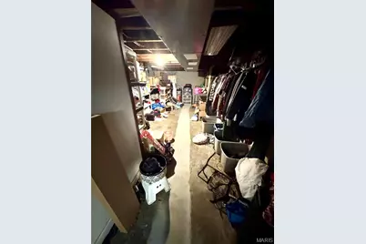 504 W Ripa Avenue, Saint Louis, MO 63125 - Photo 28