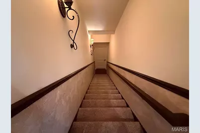 107 Morgan Lake Road, De Soto, MO 63020 - Photo 32