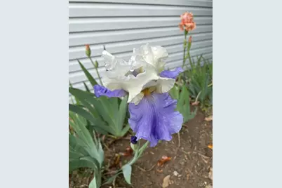 1006 St. Andrews, Union, MO 63084 - Photo 58