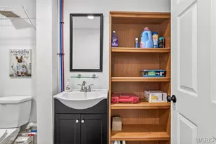 14 Darby Ln, Crystal City, MO 63019 - Photo 38