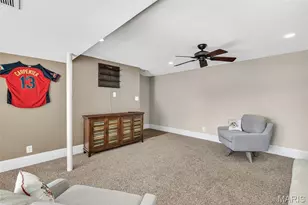 14 Darby Ln, Crystal City, MO 63019 - Photo 34