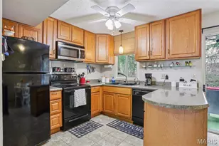 1227 Mangrove Ln, Saint Louis, MO 63125 - Photo 10