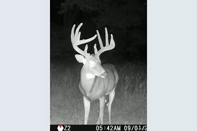 67 +/- Ac Circle Acres Drive, Marthasville, MO 63357 - Photo 24