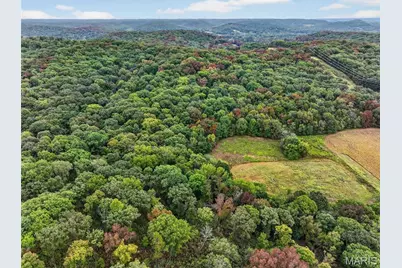 67 +/- Ac Circle Acres Drive, Marthasville, MO 63357 - Photo 2