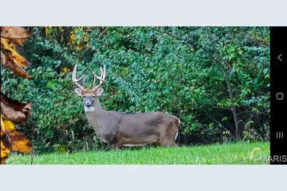 3530 Swaying Oaks Lane, O'Fallon, MO 63385 - Photo 26