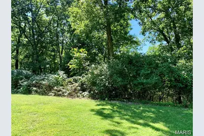 Lot 2 Dogwood Acres, Imperial, MO 63052 - Photo 4