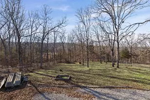 14049 Trails End Dr, De Soto, MO 63020 - Photo 12