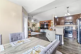 13723 Willow Wind Dr, De Soto, MO 63020 - Photo 12