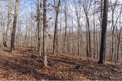 0 County Road 426, Washington, MO 63638 - Photo 12