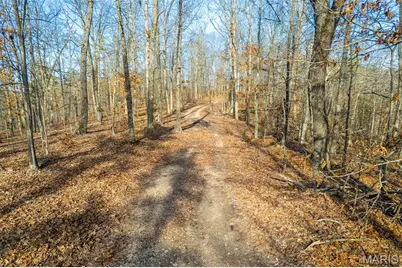 0 County Road 426, Washington, MO 63638 - Photo 32