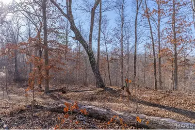 0 County Road 426, Washington, MO 63638 - Photo 10