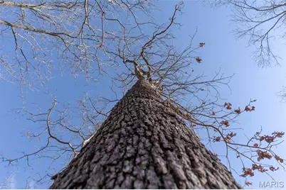 0 County Road 426, Washington, MO 63638 - Photo 8