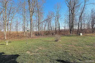 1442 Black Rock Ln, Farmington, MO 63640 - Photo 30