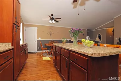 1442 Black Rock Lane, Farmington, MO 63640 - Photo 16