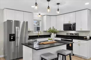 3218 Krem Ave, Saint Louis, MO 63074 - Photo 16