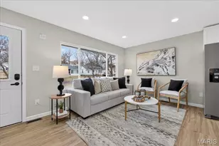 3218 Krem Ave, Saint Louis, MO 63074 - Photo 10