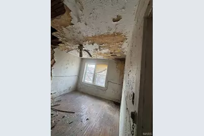 2925 Gasconade Street, Saint Louis, MO 63118 - Photo 6