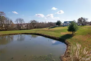 390 Talus Ln, Jackson, MO 63755 - Photo 30