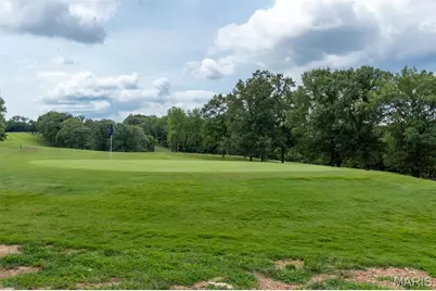 Sec 14 Lot 2 Swanee Drive, Hillsboro, MO 63050 - Photo 6