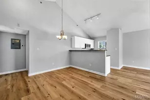 1117 Arbor Creek Dr, Unincorporated, MO 63122 - Photo 8