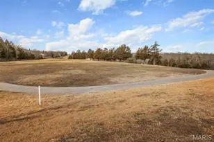 9527 Bent Tree Dr, Hillsboro, MO 63050 - Photo 80