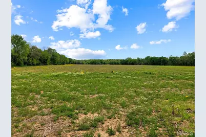 0 Old Cove Rd. (117.6+/- Acres) Road, Saint Clair, MO 63077 - Photo 22
