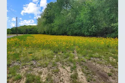 0 Old Cove Rd. (117.6+/- Acres) Road, Saint Clair, MO 63077 - Photo 24