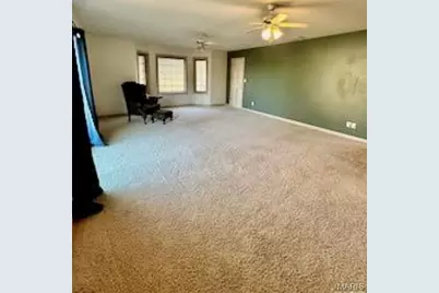 209 S Davis, East Prairie, MO 63845 - Photo 6