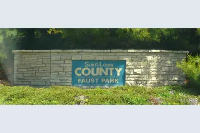 14342 Lake Tahoe Drive, Chesterfield, MO 63017 - Photo 32