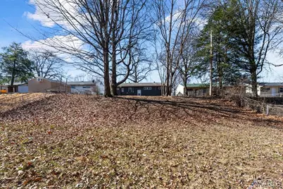 10132 Dellridge Lane, Saint Louis, MO 63136 - Photo 26