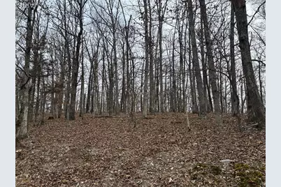 1334 Wayne 366, Piedmont, MO 63957 - Photo 46