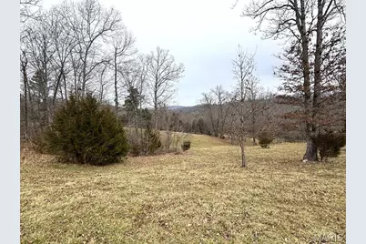 1334 Wayne 366, Piedmont, MO 63957 - Photo 26