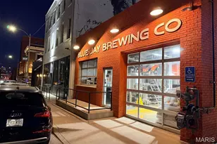 2647 Locust St, Saint Louis, MO 63103 - Photo 32