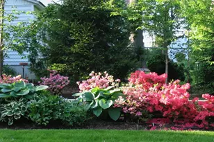 1009 Joanna Ave, Glendale, MO 63122 - Photo 32