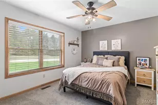 12928 Morgans Meadow Rd, De Soto, MO 63020 - Photo 60