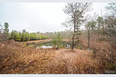 1950 Lake Forest Drive-Tract 1, Park Hills, MO 63601 - Photo 60