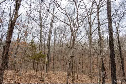 113 E Koester Springs Road, French Village, MO 63036 - Photo 36