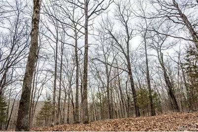 113 E Koester Springs Road, French Village, MO 63036 - Photo 2