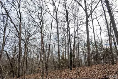 113 E Koester Springs Road, French Village, MO 63036 - Photo 44