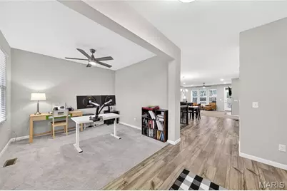 253 Cambium Court, Wentzville, MO 63385 - Photo 8