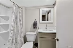 216 Elm Ave, Glendale, MO 63122 - Photo 48