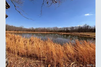 85 Barnicle Chapel Road, Shelbyville, MO 65565 - Photo 32