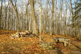 1858 Country Ridge Rd, Rolla, MO 65401 - Photo 42